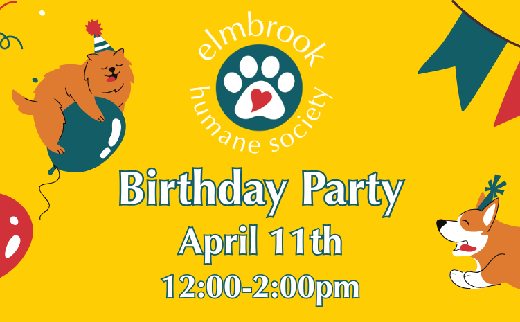 Birthday Party - April 11, 12-2pm